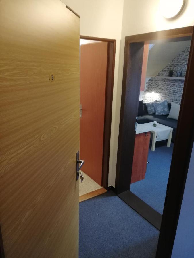 Apartmany Zelezna Ruda Exterior photo
